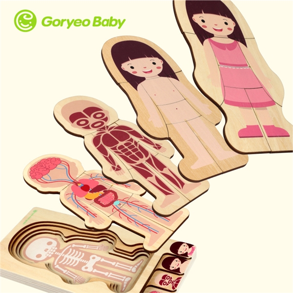Goryeobaby Body Structure Puzzle Toy Wooden Boy Girl Montessori Educational Toys